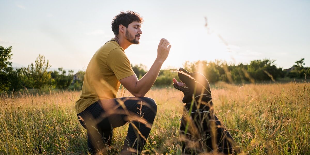 Mann mittleren Alters sitzt auf einer Wiese seinem Hund gegenüber. Im Vordergrund des Fotos sind auf hellem Hintergrund unscharfe Schatten von Gräsern zu sehen.